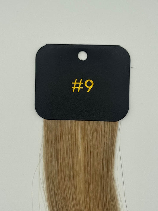 Palm Dust #9